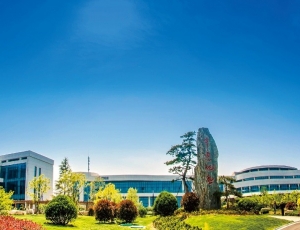 山东基地